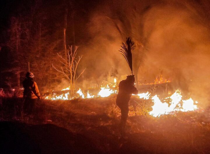 incendios Bolivia 2024