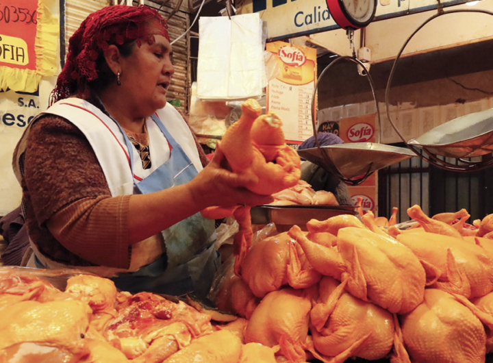 Escasez de alimentos Bolivia